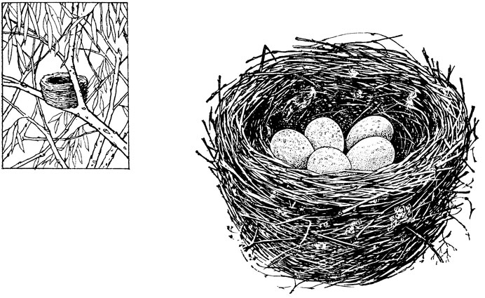 ���. 40. ������ ���������� ������