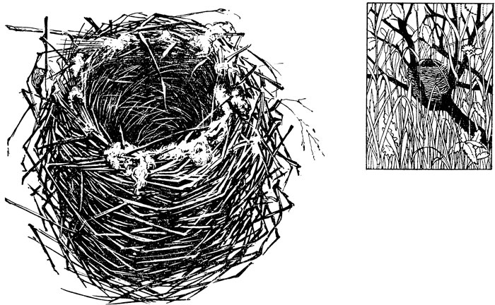 ���. 41. ������ ����� ������