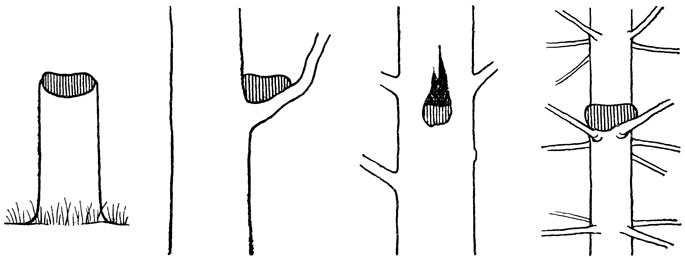 ���. 42. ����� ������������ ����� ����� ���������