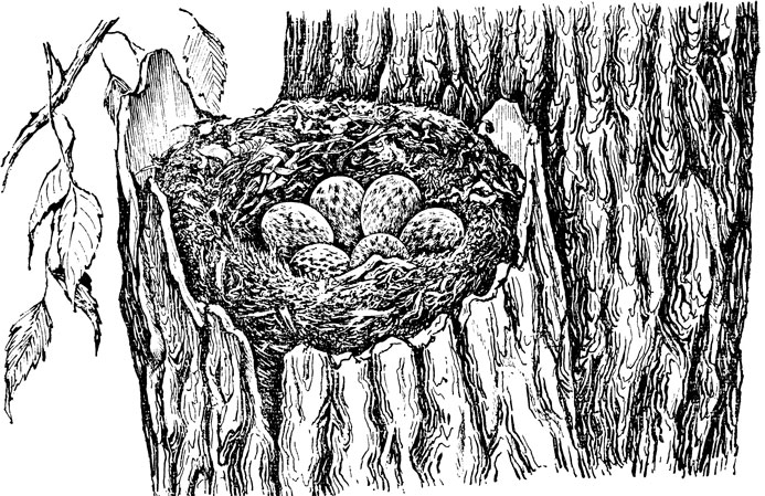 ���. 43. ������ ����� ���������