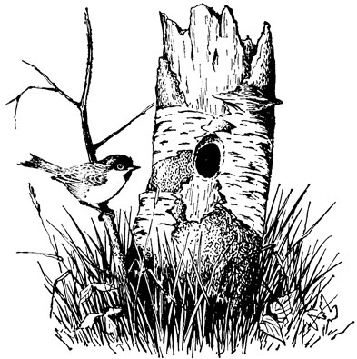 ���. 46. ����� ����������� ������