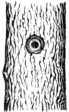 ���. 47. ����� �������� �������� �����, ������� ������������ ��������� (����� ������� ������ ����� �� ����� �����)