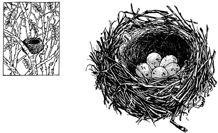 ���. 50. ������ ����������