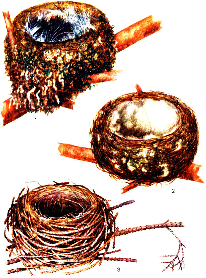 ������� III. ������ ����: 1 - �������; 2 - �����; 3 - ����� ���������