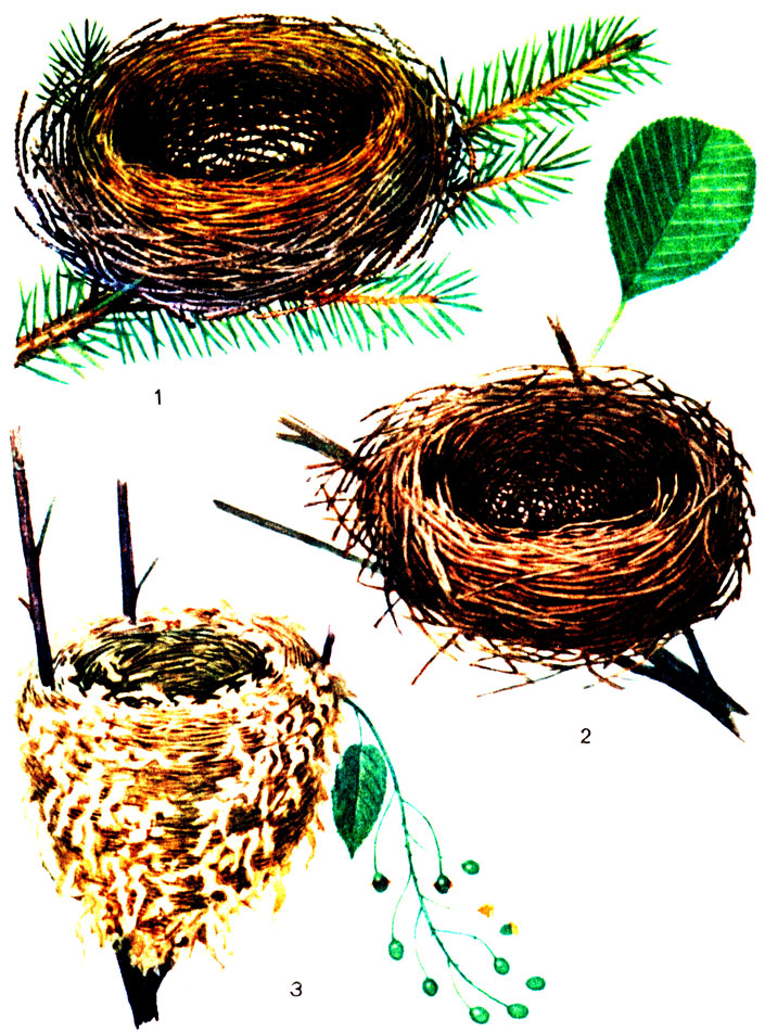 ������� IV. ������ ����: 1 - ������������ ������; 2 - ������� ������; 3 - ���������-����������