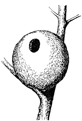 ���. 2. ������������ ������