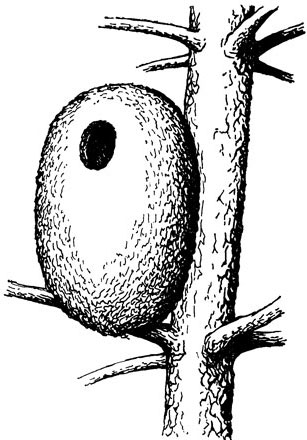 ���. 3. ������������ ������