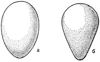 ���. 7. ����� ���: � - ���������� ����������; � - �����������