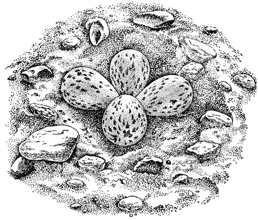 ���. 8. ������ ������ ����� �� ����� � �������