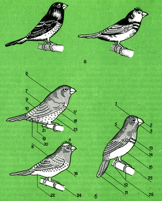 . 10.   :  -    ;  -  '' : 1 -     ; 2 -   ; 3 -      ; 4 - ,      ; 5 -   ; 6 -  ; 7 -  ; 8 -  ; 9 -  ; 10-    '' ; 11 - ,  ; 12 -  ; 13 -     ; 14 -  ; 15 -         '' ; 16 -  ; 17 -   ; 18 -  ; 19 -  ; 20 -  ; 21 -    ; 22 -    ; 23 -  ; 24 -     ; 25 -     ; 26 -   