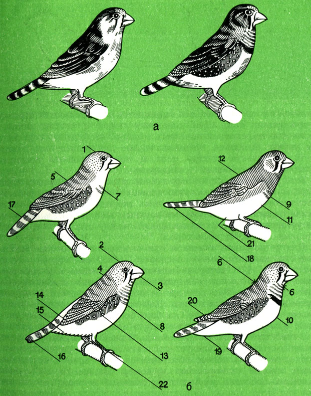 . 11.   : a -    ;  -  '' ; 1 -    ; 2 -  ; 3 -  	4 -  ; 5 -  ; 6 -    ; 7 -     '' ; 8 -          () ; 9 -     ; 10 -  , .     -    ; 12 -  ,     ; 14 -  ; 15 -  ; 16 -  ''; 17 -  ; 18 -  ; 19 -   ; 20 -  ; 21 -      ; 22 -     