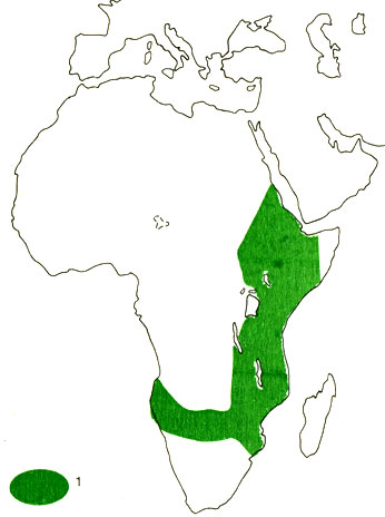  4.    (1)