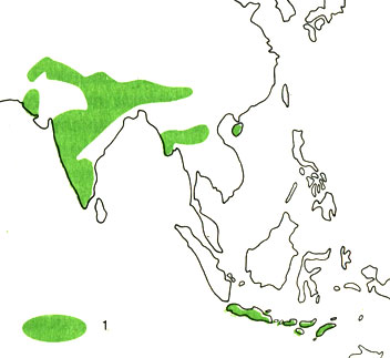  14.    (1)