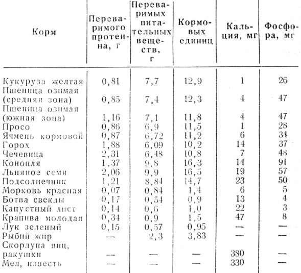 можно ли голубям льняное семя. Смотреть фото можно ли голубям льняное семя. Смотреть картинку можно ли голубям льняное семя. Картинка про можно ли голубям льняное семя. Фото можно ли голубям льняное семя