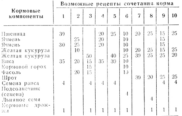 можно ли голубям льняное семя. Смотреть фото можно ли голубям льняное семя. Смотреть картинку можно ли голубям льняное семя. Картинка про можно ли голубям льняное семя. Фото можно ли голубям льняное семя
