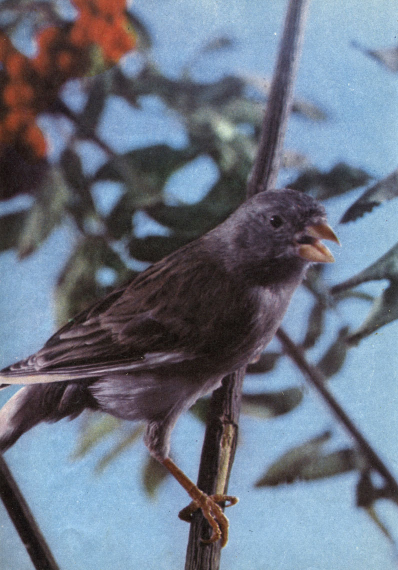 ���. 13. ������� ���������