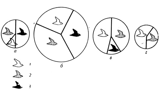 . 17.      (1),  (2)   (3) .    ()         ;    ()    ,        .    ()       ,         (2).       ,      ;           